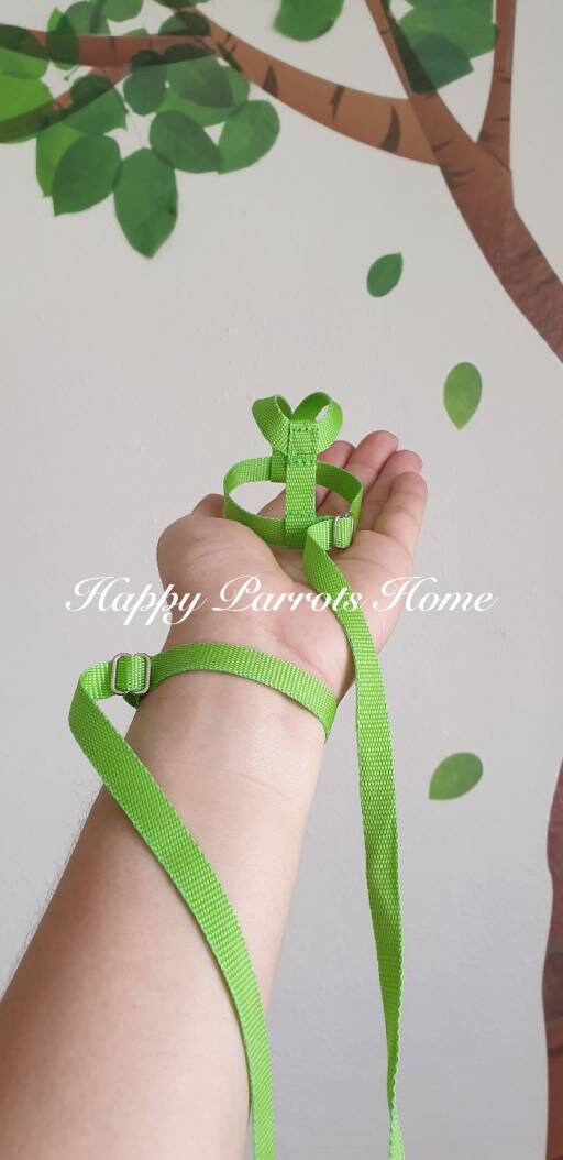 Adjustable Parrot Harness for Travel