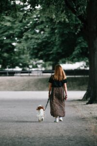 Choosing the Right Width of Leash for Your Dog's Comfort and Safety