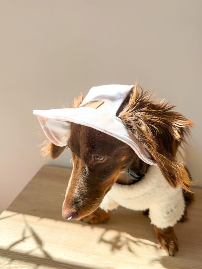Dog Bucket Hat for Sun Protection