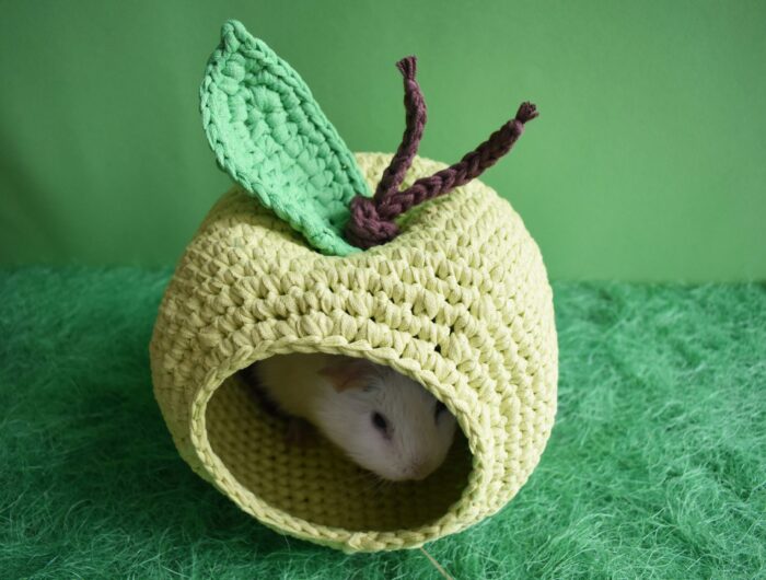 Green Apple Guinea Pig House
