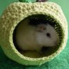 Green Apple Guinea Pig House