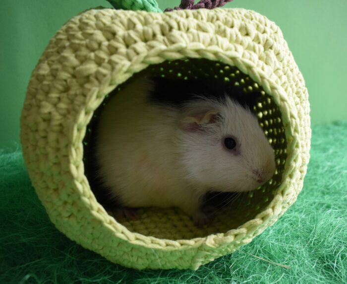 Green Apple Guinea Pig House