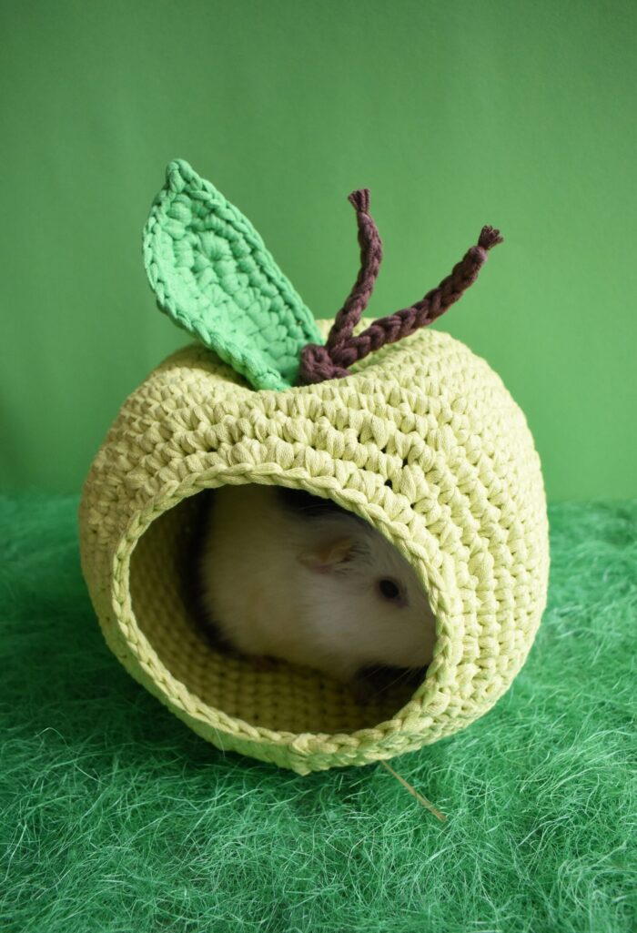 Green Apple Guinea Pig House