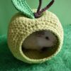 Green Apple Guinea Pig House
