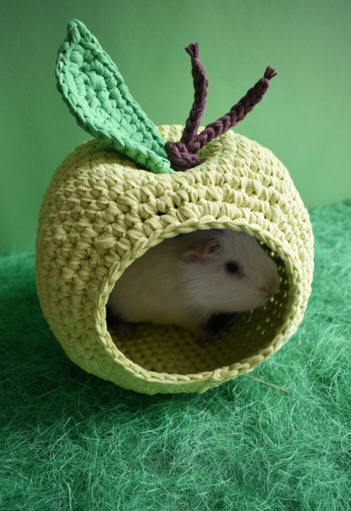 Green Apple Guinea Pig House