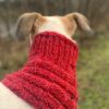 Greyhound Snood Cowl - Red Tweed