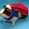 SuperPig Costume for Guinea Pig