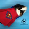 SuperPig Costume for Guinea Pig