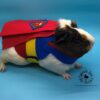 SuperPig Costume for Guinea Pig