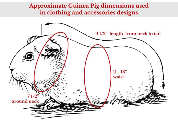 SuperPig Costume for Guinea Pig