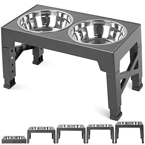 Top 7 Elevated Dog Feeders