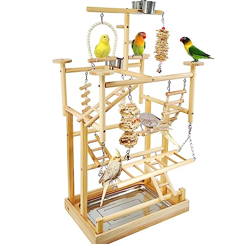 10 Apartment-Friendly Bird Play Gyms for Conures and Budgies