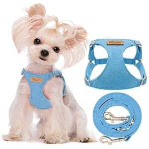 Best Chew-Proof Harnesses for Tiny Escape Artists Now