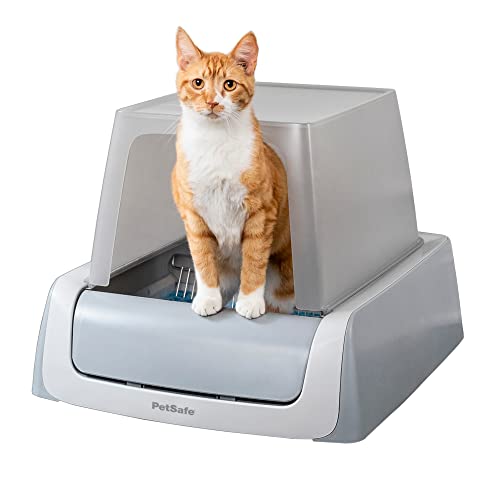 Best Compact Automatic Litter Boxes for Senior Indoor Cats