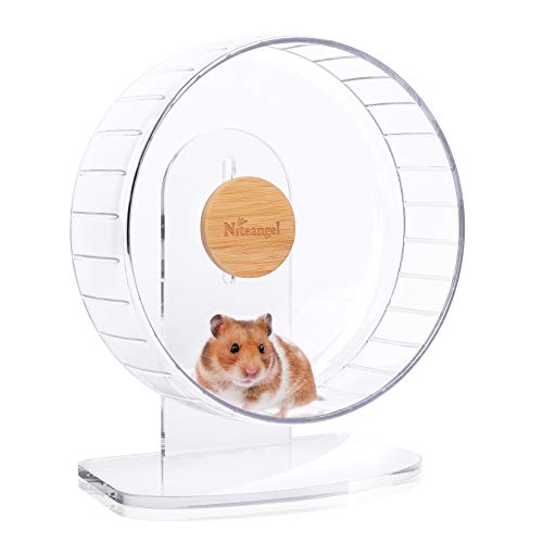 8 Best Silent Hamster Exercise Wheels You'll Love