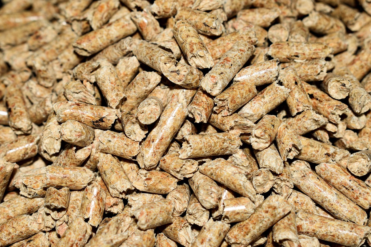 How to Automate Your Reptile Heat Lamp Using a Kasa Smart Plug