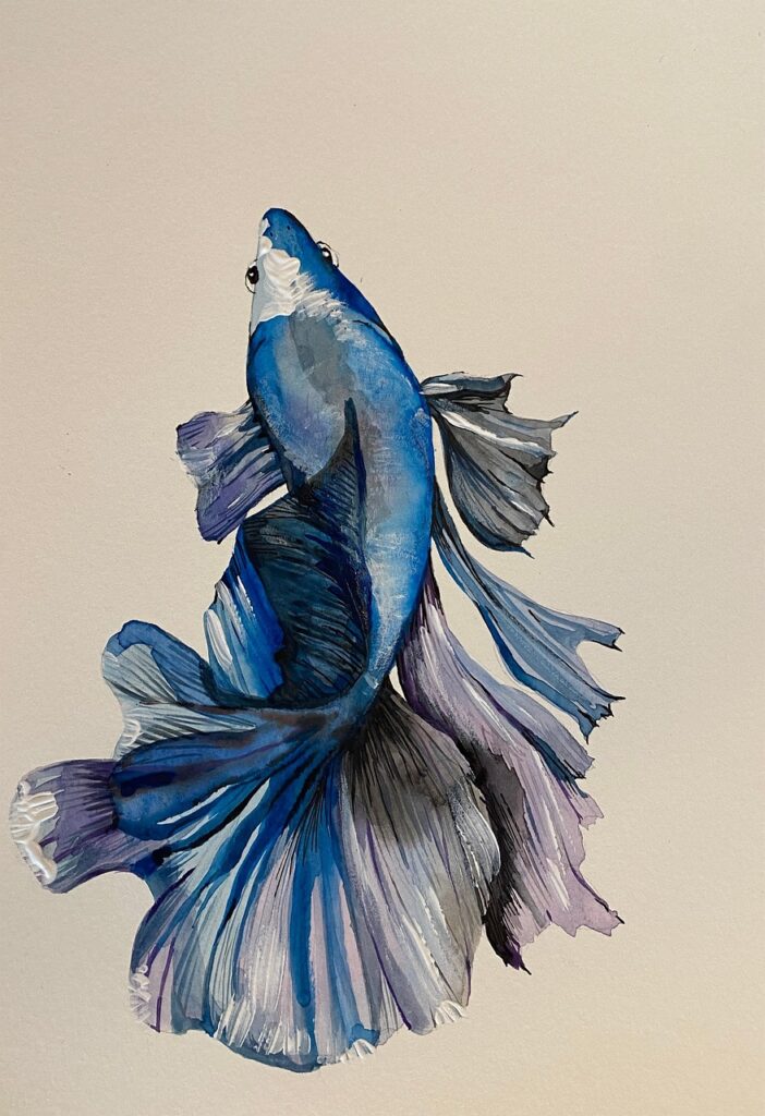 How to Quickly Fix a Betta's Swim Bladder in 6 Easy Steps