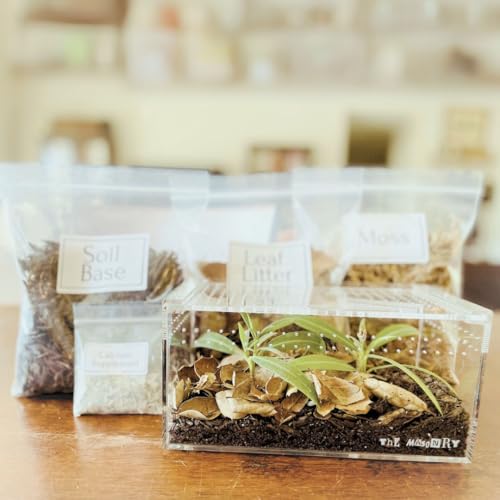 THE MASONRY Isopod Kit — Start Your Tiny Roly‑Poly Farm