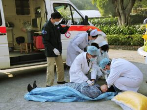 Step-by-Step Guide to At-Home Pet First Aid: Immediate Steps, Red Flags, Timelines
