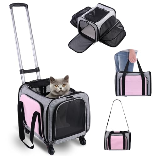 Top 10 Small Pet Travel Carriers for 2025 - Cozy Picks