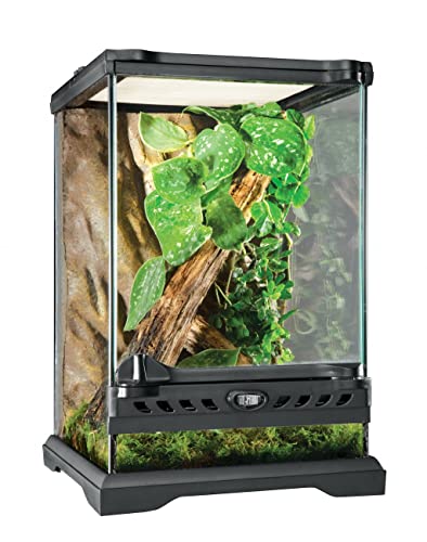 Top 8 Low-Maintenance Reptile Terrariums 2025 Best Picks