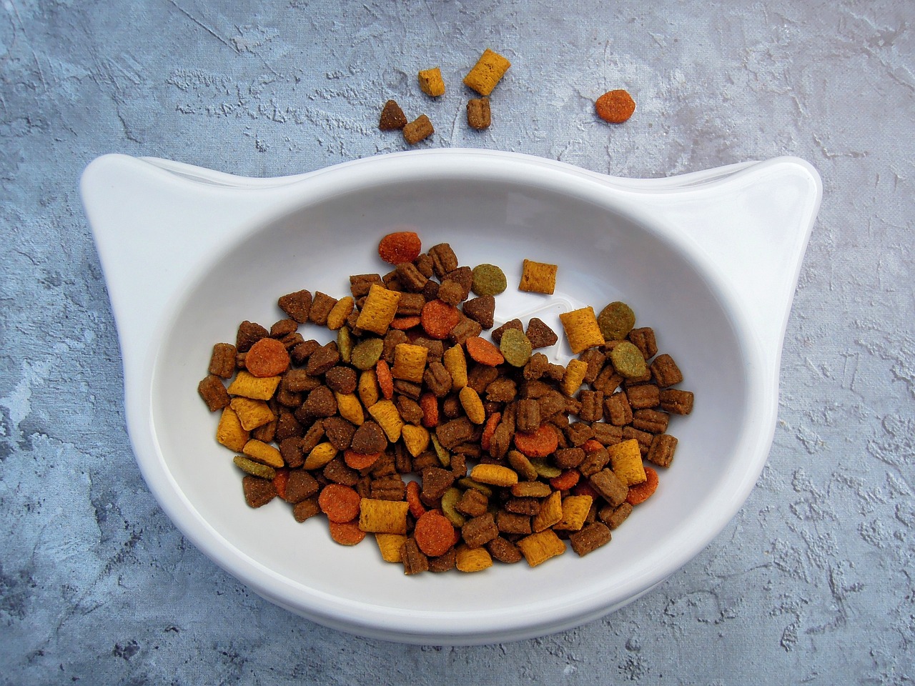Wet or Dry? A No-Boredom Guide to Feeding Your Cat